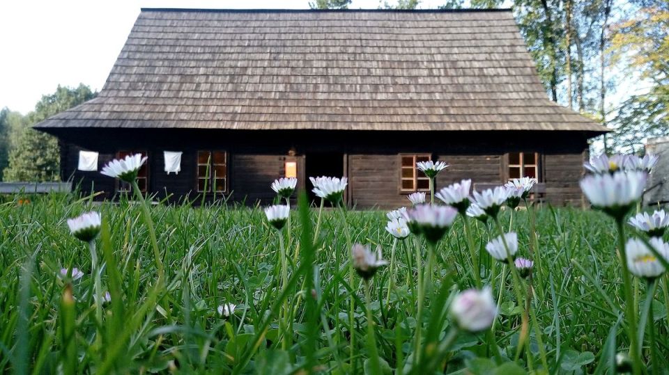 Wizyta w Zagrodzie Wsi Pszczyńskiej — wiejskie życie w śląskiej odsłonie!  - galeria