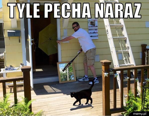 Wierzycie w pechowość piątku trzynastego? Zobaczcie najśmieszniejsze MEMY! - galeria