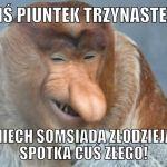 Wierzycie w pechowość piątku trzynastego? Zobaczcie najśmieszniejsze MEMY! - galeria