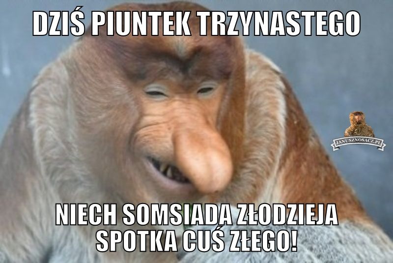 Wierzycie w pechowość piątku trzynastego? Zobaczcie najśmieszniejsze MEMY! - galeria