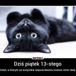 Wierzycie w pechowość piątku trzynastego? Zobaczcie najśmieszniejsze MEMY! - galeria