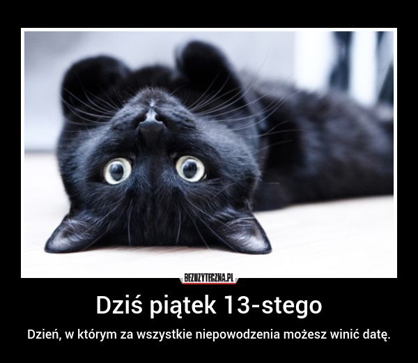 Wierzycie w pechowość piątku trzynastego? Zobaczcie najśmieszniejsze MEMY! - galeria