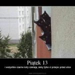 Wierzycie w pechowość piątku trzynastego? Zobaczcie najśmieszniejsze MEMY! - galeria