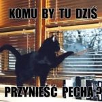 Wierzycie w pechowość piątku trzynastego? Zobaczcie najśmieszniejsze MEMY! - galeria