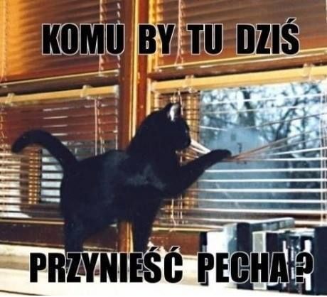 Wierzycie w pechowość piątku trzynastego? Zobaczcie najśmieszniejsze MEMY! - galeria