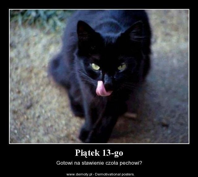 Wierzycie w pechowość piątku trzynastego? Zobaczcie najśmieszniejsze MEMY! - galeria