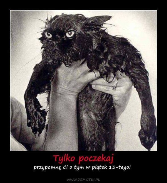 Wierzycie w pechowość piątku trzynastego? Zobaczcie najśmieszniejsze MEMY! - galeria