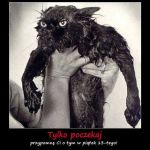 Wierzycie w pechowość piątku trzynastego? Zobaczcie najśmieszniejsze MEMY! - galeria