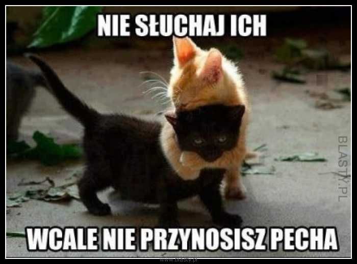 Wierzycie w pechowość piątku trzynastego? Zobaczcie najśmieszniejsze MEMY! - galeria