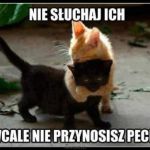 Wierzycie w pechowość piątku trzynastego? Zobaczcie najśmieszniejsze MEMY! - galeria