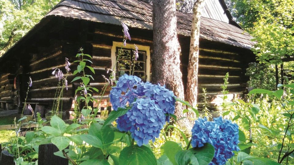 Wizyta w Zagrodzie Wsi Pszczyńskiej — wiejskie życie w śląskiej odsłonie!  - galeria