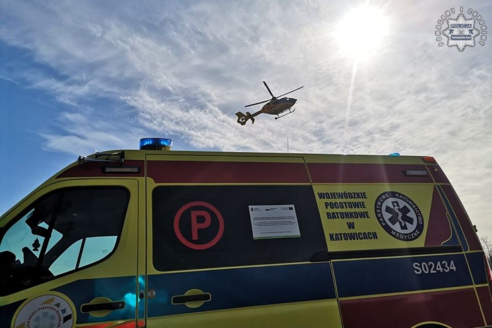 14-latek przygnieciony przez konar drzewa w Miasteczku Śląskim. Chłopiec trafił do szpitala - galeria