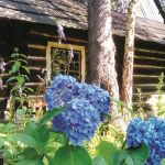 Wizyta w Zagrodzie Wsi Pszczyńskiej — wiejskie życie w śląskiej odsłonie!  - galeria