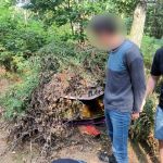 Zatrzymany poszukiwany przez kilka miesięcy mężczyzna, ukrywał się w lesie - galeria