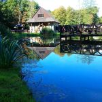 Wizyta w Zagrodzie Wsi Pszczyńskiej — wiejskie życie w śląskiej odsłonie!  - galeria