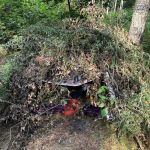 Zatrzymany poszukiwany przez kilka miesięcy mężczyzna, ukrywał się w lesie - galeria