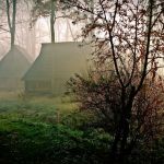 Wizyta w Zagrodzie Wsi Pszczyńskiej — wiejskie życie w śląskiej odsłonie!  - galeria