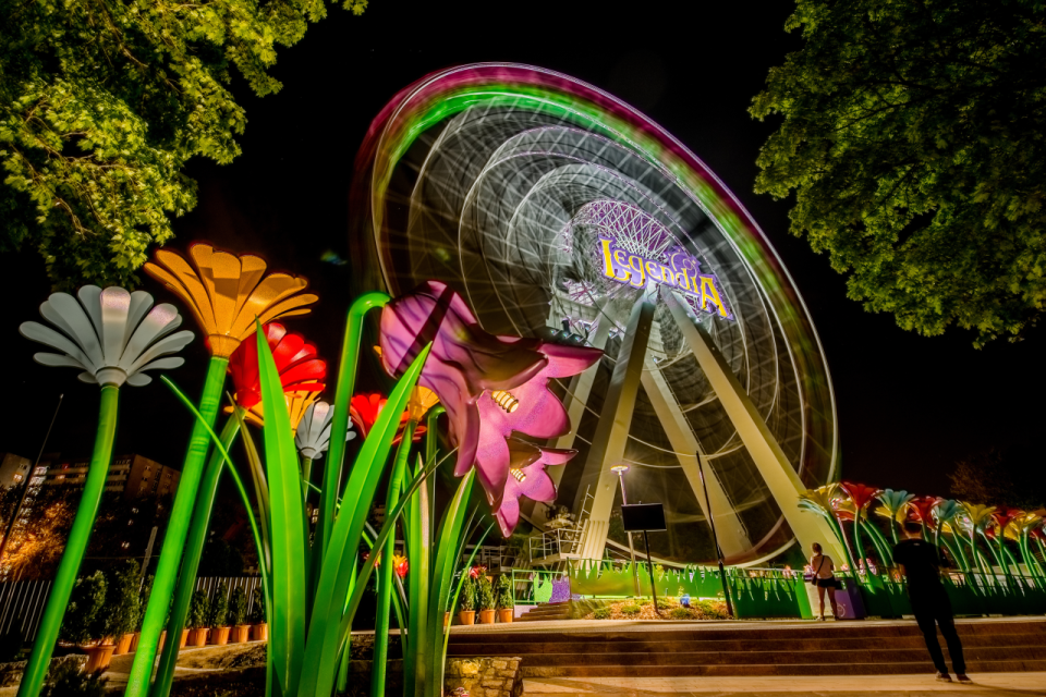 Muzyczna rewolucja w Legendii! Magic Beats Festival – największe wydarzenie od 66 lat! - galeria