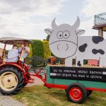 Zdjęcia: Birdabo Studio