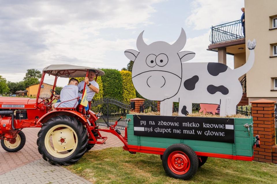 Zdjęcia: Birdabo Studio