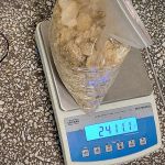 Policjanci przechwycili blisko 100 kilogramów narkotyków - galeria