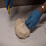 Policjanci przechwycili blisko 100 kilogramów narkotyków - galeria