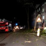 Nietrzeźwy kierowca forda uderzył w drzewo w Bytomiu – trafił do szpitala - galeria