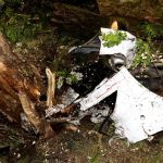 Nietrzeźwy kierowca forda uderzył w drzewo w Bytomiu – trafił do szpitala - galeria