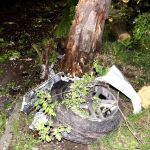 Nietrzeźwy kierowca forda uderzył w drzewo w Bytomiu – trafił do szpitala - galeria