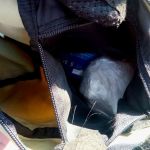 Amfetamina w plecaku i policyjna zasadzka w Sosnowcu - galeria