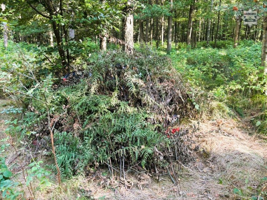 Zatrzymany poszukiwany przez kilka miesięcy mężczyzna, ukrywał się w lesie - galeria