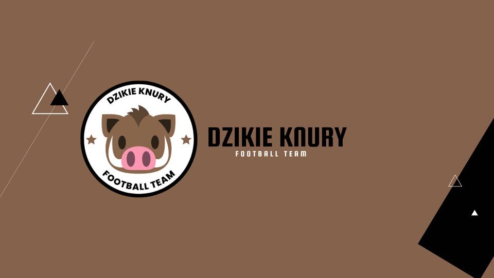 DZIKIE KNURY CUP – charytatywny turniej piłkarski w Rudzie Śląskiej - galeria