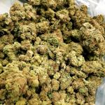 Narkotyki, broń i aresztowania – spektakularna akcja policji przeciw pseudokibicom! [FOTO] - galeria