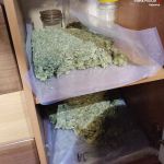 Narkotyki, broń i aresztowania – spektakularna akcja policji przeciw pseudokibicom! [FOTO] - galeria