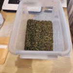 Policja z Katowic rozbiła plantację marihuany – 3,5 kg suszu zabezpieczone! - galeria