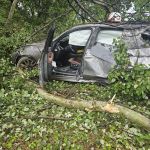 Kolizja bmw z drzewem na DK 81 w Łaziskach Górnych - galeria