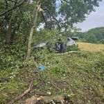 Kolizja bmw z drzewem na DK 81 w Łaziskach Górnych - galeria