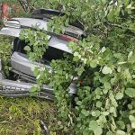 Kolizja bmw z drzewem na DK 81 w Łaziskach Górnych - galeria