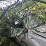 Kolizja bmw z drzewem na DK 81 w Łaziskach Górnych - galeria