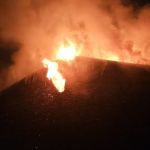 Pożar w Chorzowie – policjanci ewakuowali mieszkańców, uratowali psa i zatrzymali sprawcę podpalenia - galeria