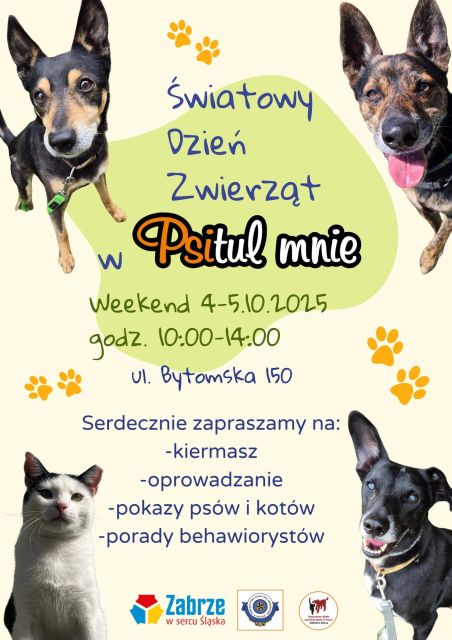 Światowy Dzień Zwierząt - dni otwarte Psitula - galeria