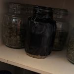 Kryminalni zlikwidowali nielegalną uprawę konopi. 52-latek zatrzymany! - galeria