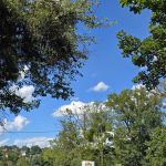 Tragiczny wypadek na ul. Cieszyńskiej. Nie żyje młody motocyklista - galeria