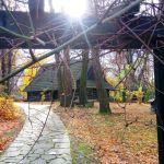 Wizyta w Zagrodzie Wsi Pszczyńskiej — wiejskie życie w śląskiej odsłonie!  - galeria