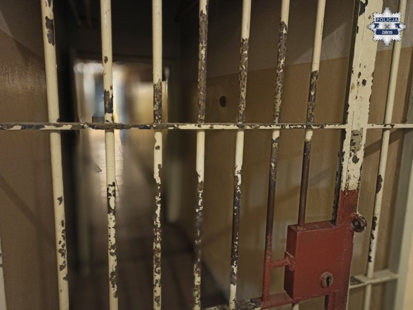 Tymczasowy areszt za znęcanie się nad żoną i synami - galeria