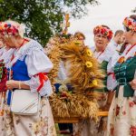 Zdjęcia: Birdabo Studio