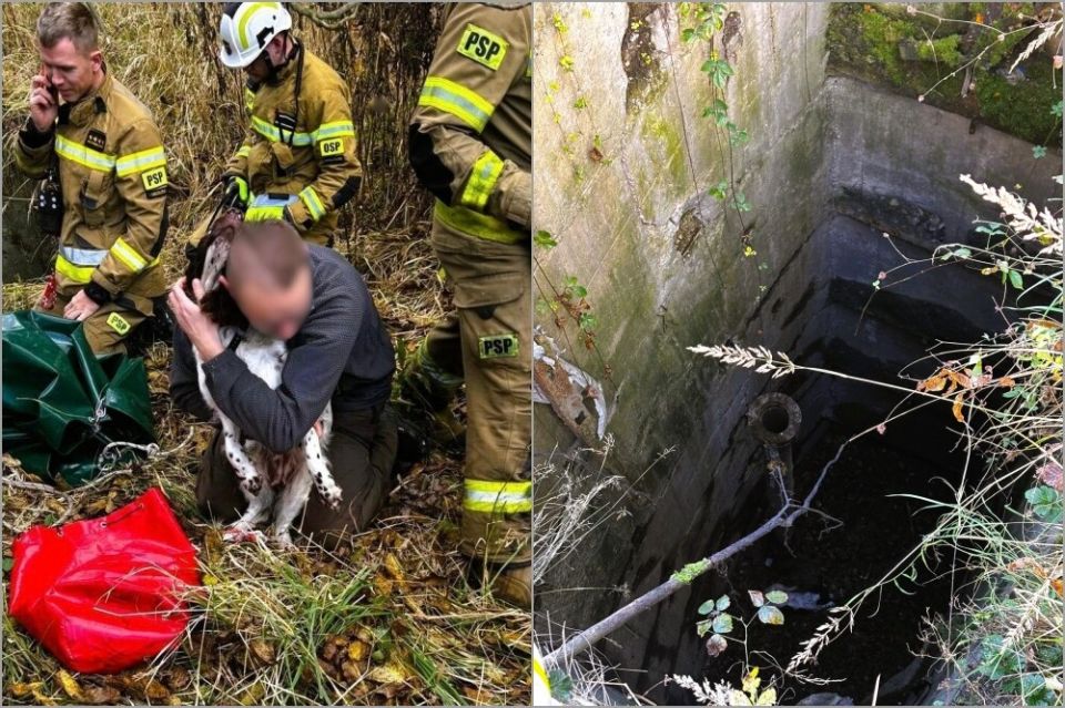 Niezwykła akcja ratunkowa w Łaziskach Górnych! Pies ocalony z szybu przez strażaków - galeria