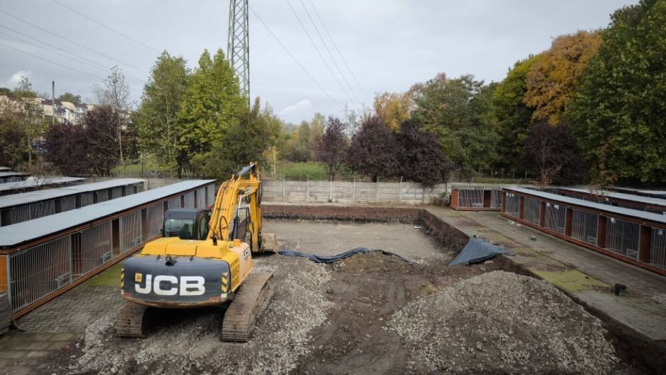 Podczas prac ziemnych na terenie schroniska w Chorzowie znaleziono kości - galeria