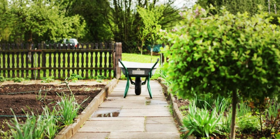 150 tys. zł dotacji dla działkowców - galeria