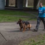 W Zabrzu odbył się III Charytatywny Bieg dla Autyzmu [FOTORELACJA] - galeria